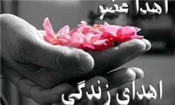 ۳ عضو بیمار مرگ مغزی شده در مازندران به نیازمندان اهدا شد