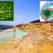 مازندران از ساماندهی یک چشمه عاجز است؟/ سورت را به حال خود واگذارید!