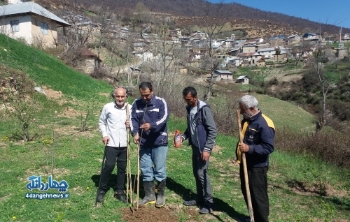 ایجاد فضای سبز در روستای “کنیم” – بخش اول