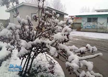 تصاویر: چهره زمستانی شهر کیاسر در اولین برف سال ۱۳۹۶