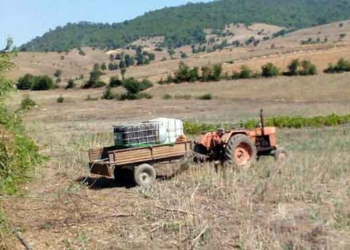 مشکل جدی شالیکاران روستای مازستاق در آبیاری مزارع ( فیلم )