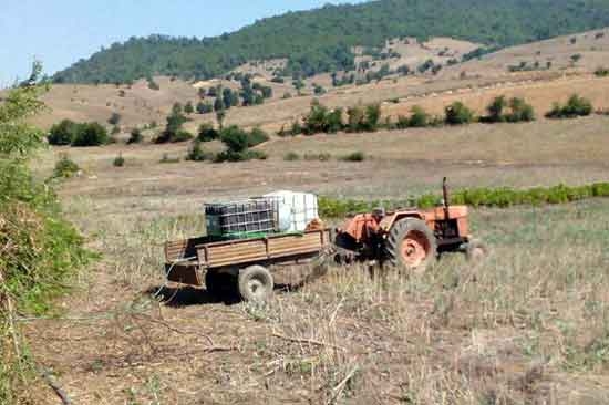 مشکل جدی شالیکاران روستای مازستاق در آبیاری مزارع ( فیلم )