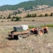 مشکل جدی شالیکاران روستای مازستاق در آبیاری مزارع ( فیلم )