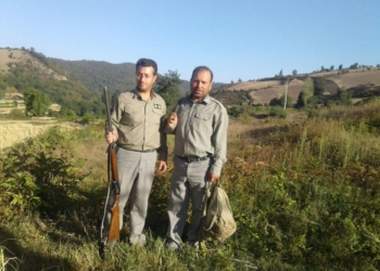 دستگیری شکارچی غیرمجاز پرنده در چهاردانگه