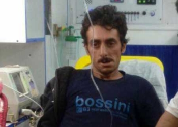 خسارت چوپان زخمی در صورت محکوم شدن محیط زیست پرداخت می‌شود