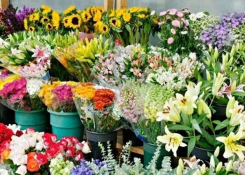 با وجود مازاد تولید، هم قاچاق داریم هم واردات رسمی!