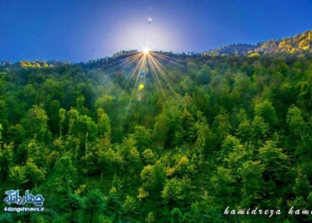 تصاویر زیبای از بخش چهاردانگه از دریچه  دوربین حمید رضا حامی