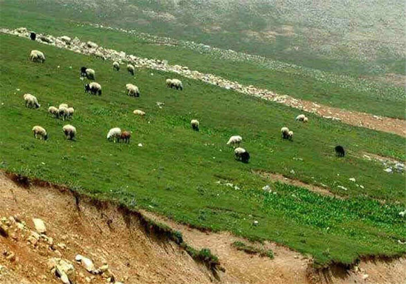 مهر قانونی بودن بر واگذاری مراتع آبدره شکرکوه کلاردشت