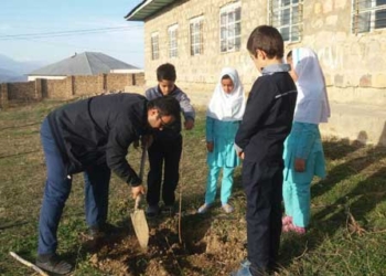 گزارش از کاشت درختان آلبالوی مجاری در مدرسه شهید ملکی روستای کنیم
