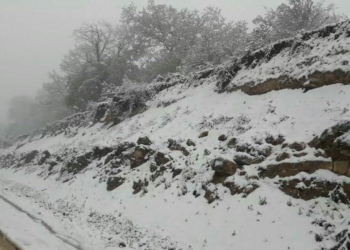 گزارش تصویری بارش برف بهاری در بخش چهاردانگه
