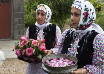 تصاویر: اولین روز جشنواره گل محمدی دودانگه ساری