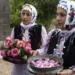 تصاویر: اولین روز جشنواره گل محمدی دودانگه ساری
