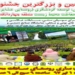 برگزاری بزرگترین جشنواره همدلی ،توسعه گردشگری و حفاظت محیط زیست در چهاردانگه
