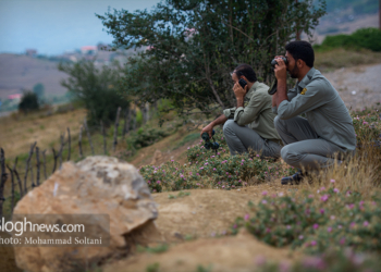 گزارش تصویری: محیط بانان در پارک ملی کیاسر