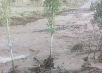 گزارش تصویری: آتش سوزی درجنگل های روستای لالا ، سیل درروستاهای برد و  چالو