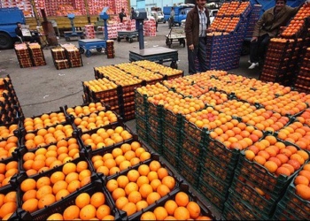گنجشک رنگ میکنند و جای قناری میفروشند!