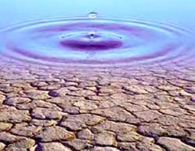 مدیریت ریسک تغییرات اقلیم از طریق محصولات زراعی