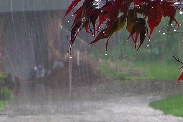تاسوعای پرباران در نوشهر
