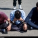 جاعل و کلاهبردار میلیاردی در مازندران دستگیر شد
