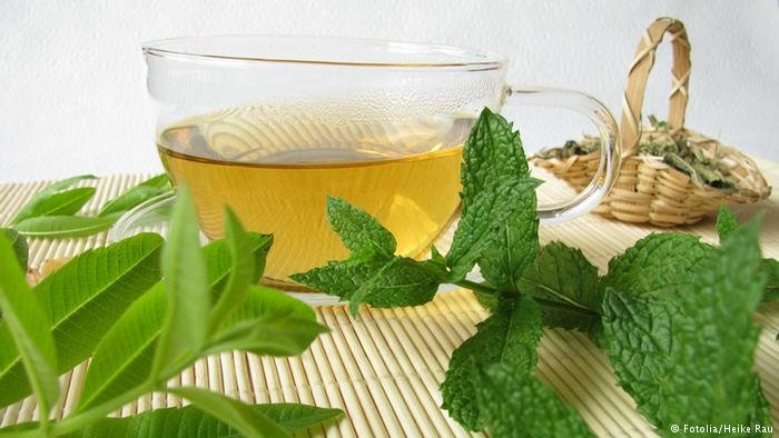 تنها روزی یک فنجان دمنوش بنوشید