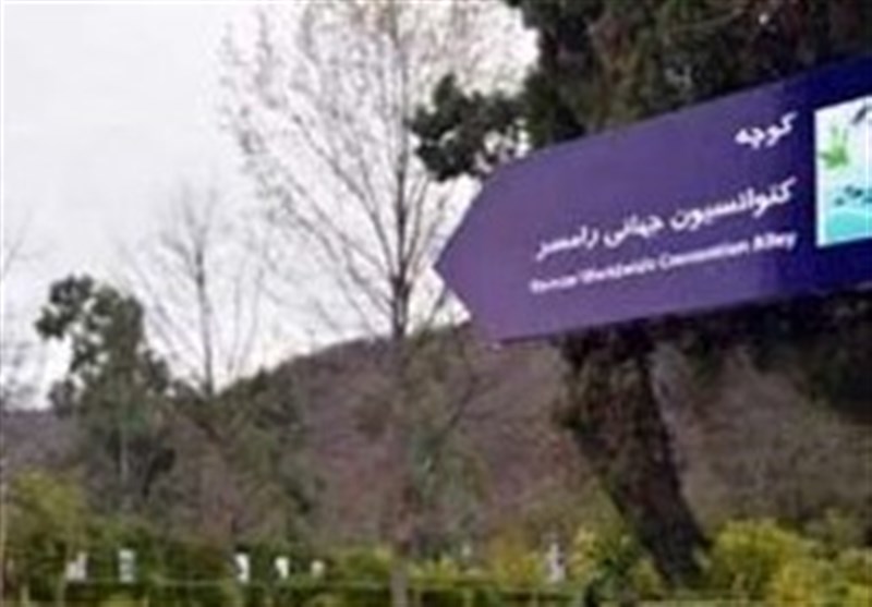 استاندار مازندران: تالابهای مازندران ظرفیت مناسبی برای توسعه زیست بوم استان است