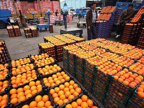 صادرات پرتقال ایران از کشور همسایه!