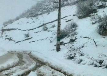 تعداد در راه ماندگان محور کیاسر به بیش از ۲۰۰ نفر رسید