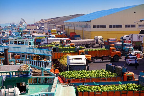 فقط یک شرکت بالای یک میلیارد دلار در کشور صادرات دارد