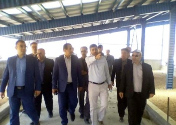 احداث شهرک دامپروری ۲۸ هزار راسی دام سبک در روستای پشرت