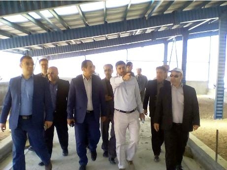 احداث شهرک دامپروری ۲۸ هزار راسی دام سبک در روستای پشرت