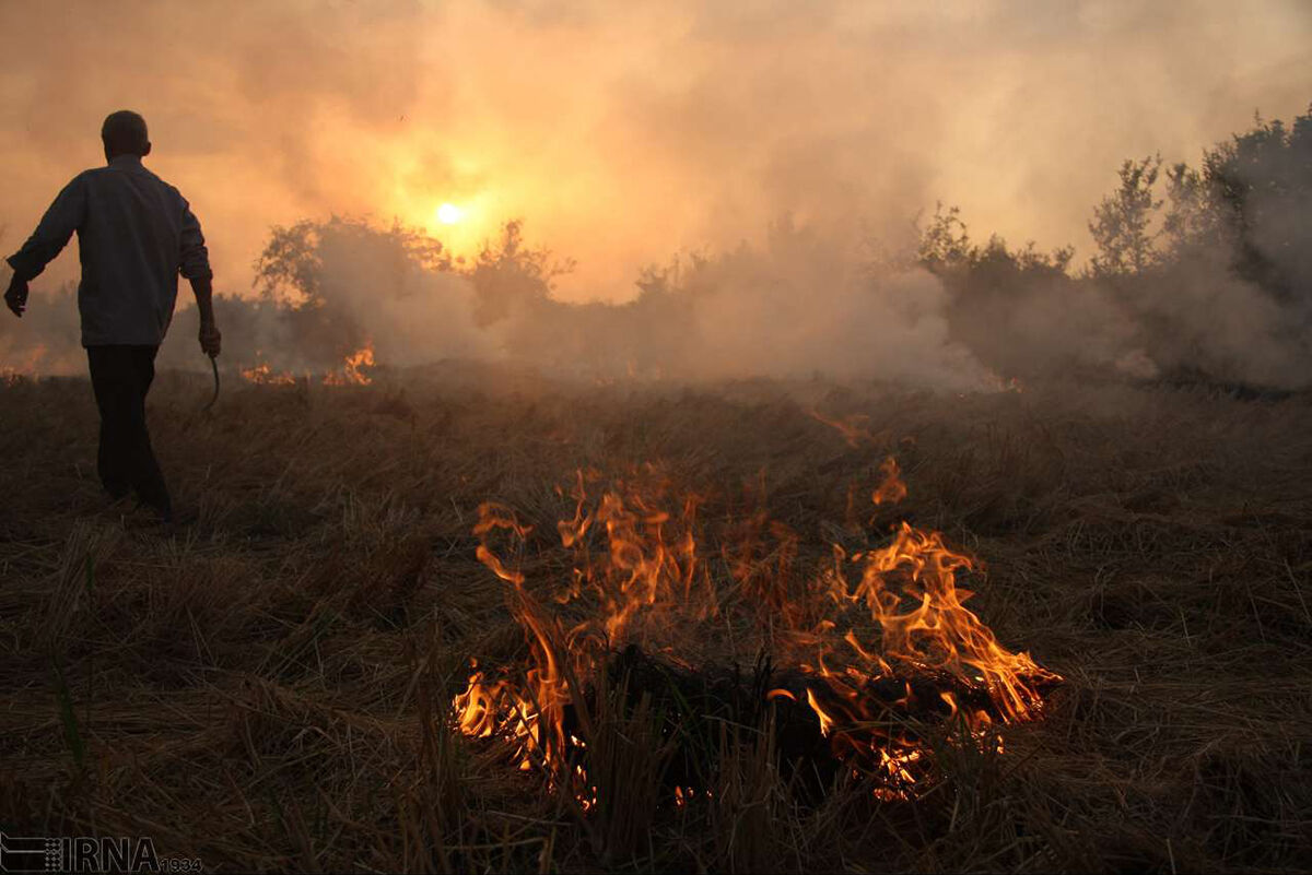 آتش ناچاری، تهدید جدی عرصه های طبیعی مازندران