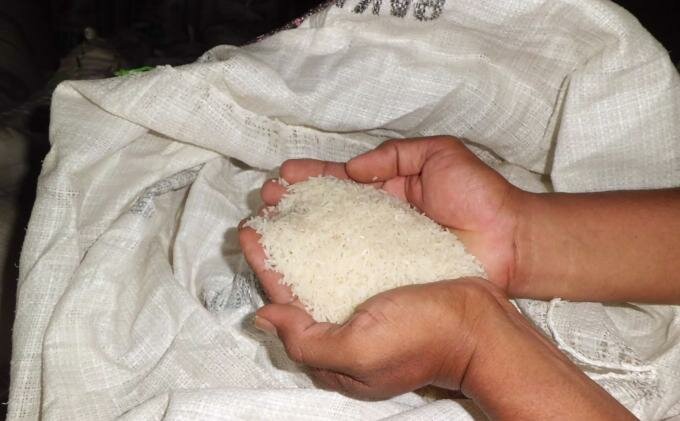 برنج خوراکی مازندرانی‌ها مسموم نیست