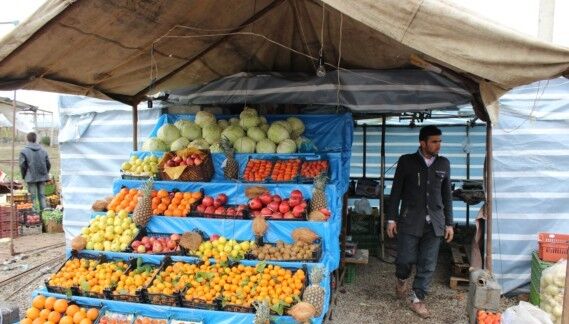ضرورت ساماندهی میوه فروشان داربستی بدون مجوز در تنکابن