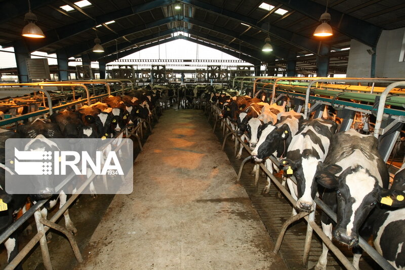 بیماری تب کریمه کنگو در مازندران تحت کنترل است