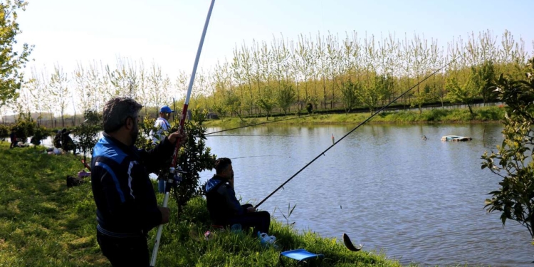 رنگین کمان‌های فراری در قلاب گردشگران
