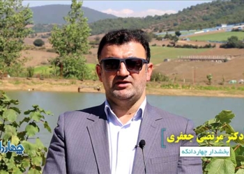 فیلم: سخنان بخشدار چهاردانگه به مناسبت هفته دولت