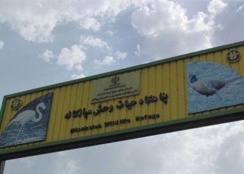 بازگشایی پناهگاه حیات وحش میانکاله شاید وقتی دیگر