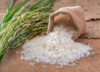 ممنوعیت فصلی واردات برنج همچنان برقرار است