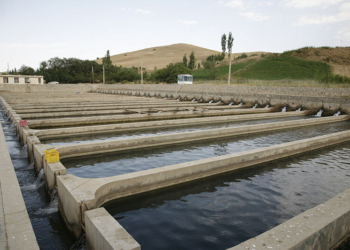 یک طرح پرورش ماهی سردآبی در تنکابن افتتاح شد