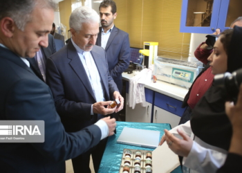 وزیر علوم: پژوهشگران محصول‌های تولیدی را به نام خود ثبت کنند