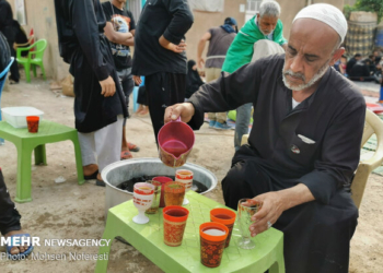 خدمات دهی ۲ موکب روستایی دودانگه در مسیر کربلا
