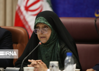 ابتکار: ۴۱ درصد از تسهیلات اشتغال روستایی را زنان دریافت کردند