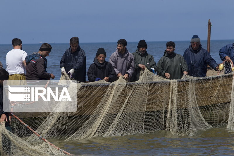 تور صیادان شرق مازندران در خزر پهن شد