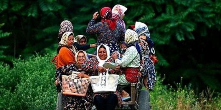 سند ارتقای وضعیت زنان مازندران به مرحله اجرا رسید