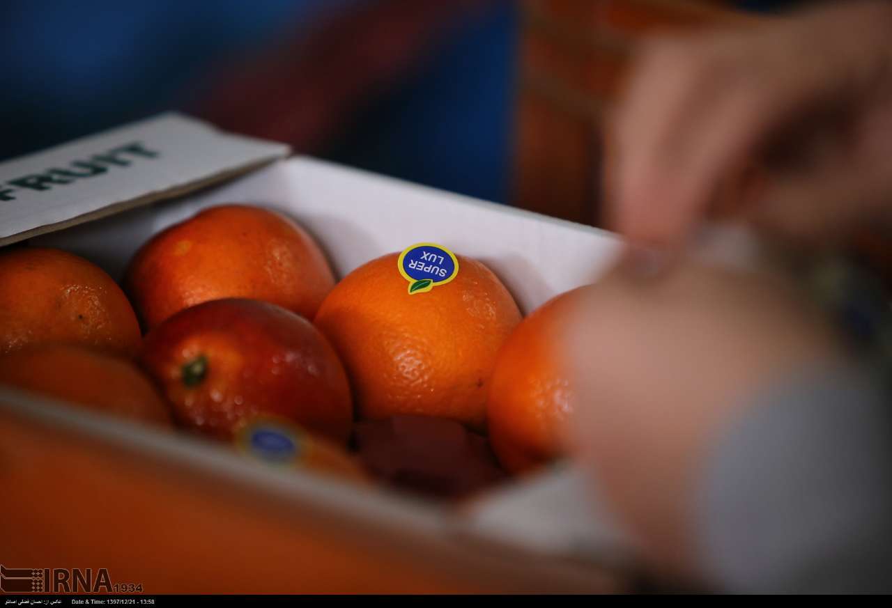 نظارت دقیق بر خرید سالم پرتقال مازندران برای ذخیره‌سازی شب عید