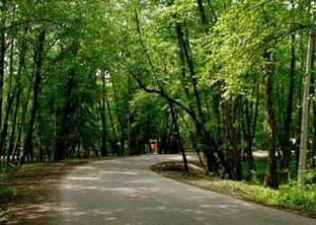 پنجمین سمپوزیوم هنر و طبیعت با نام آخرین موج برگزار می‌شود