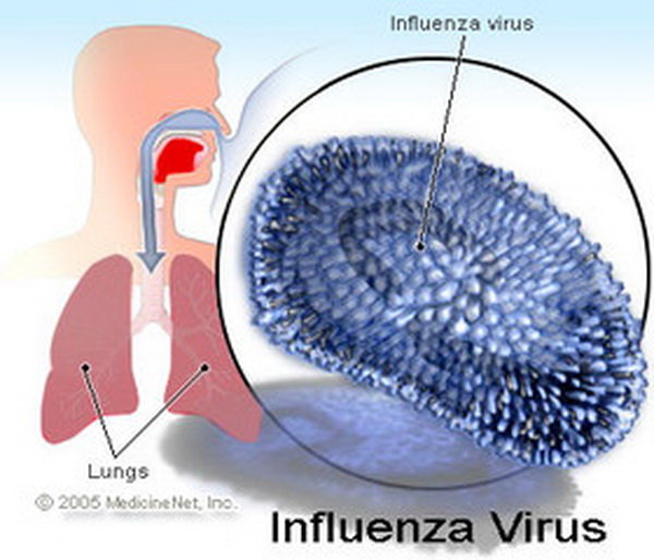 54 بیمار آنفولانزا در مازندران شناسایی شد