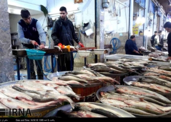 سفره ایرانی چشم انتظار ماهیان دریای خزر