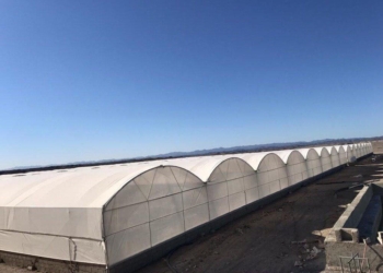 گلخانه‌های پلاستیکی و خطرات زیست محیطی آن در مازندران