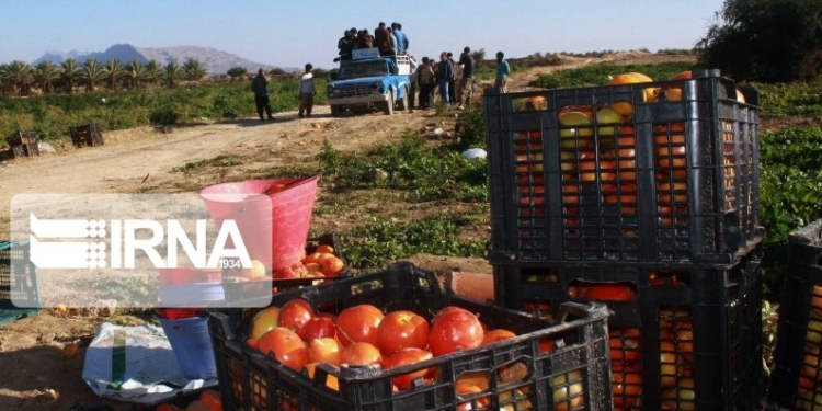 افزایش قیمت کالاهای فصلی ارتباطی با نرخ بنزین ندارد